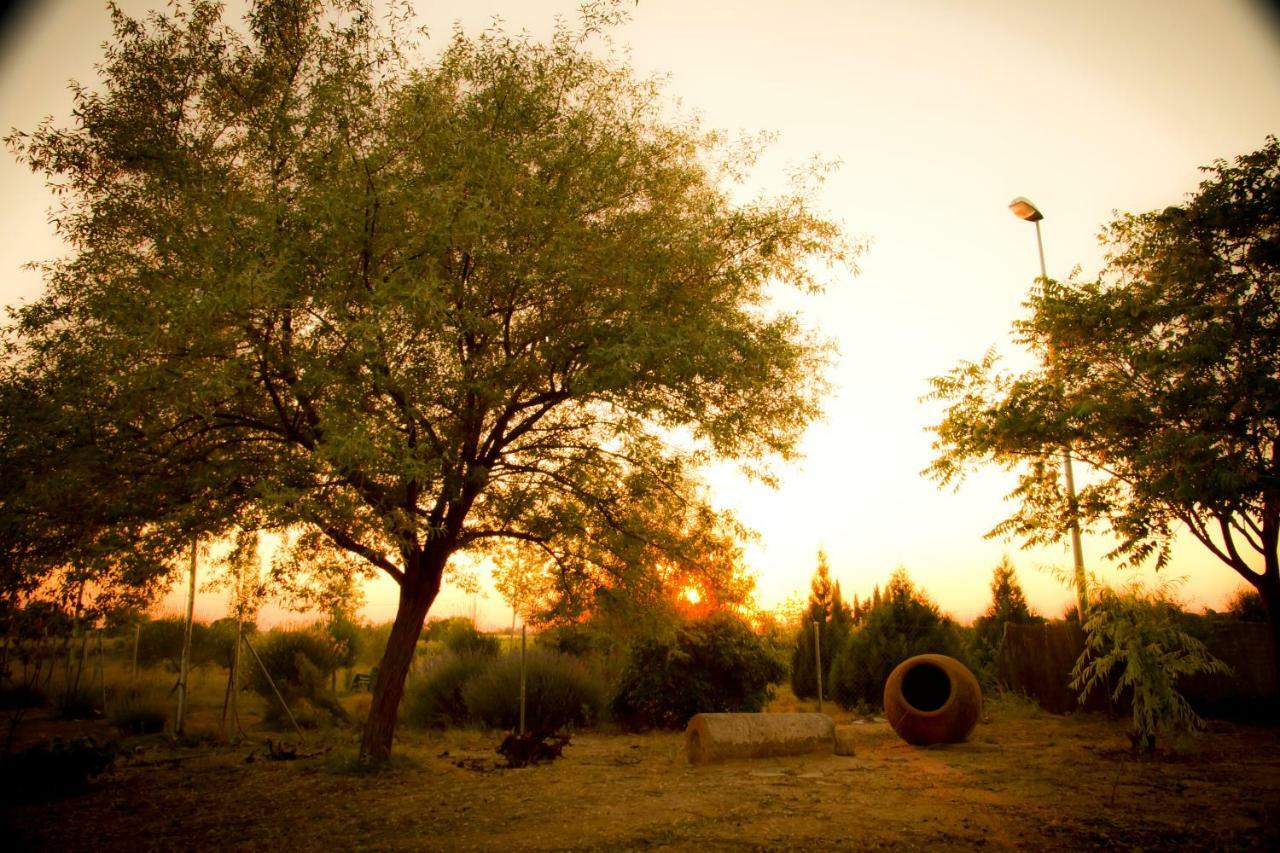 Las Candelas Casas De Los Pinos 外观 照片